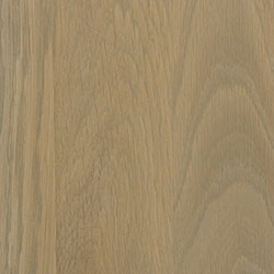 PCL Seashell (D22N09096) - Plain Sawn White Oak