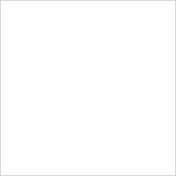 PCL Paint Bright White (FP W0117) - Brown Maple