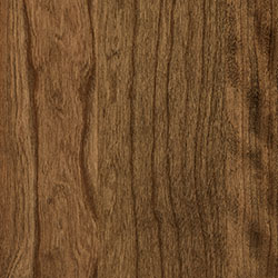 Cherry - PCL Bel Air (D22N11673)