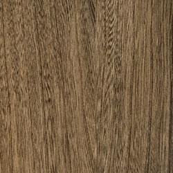 Elm - PCL Almond (D22N11670)