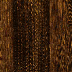 Elm - PCL Asbury Brown (D22N11672)