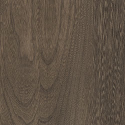 Elm - PCL Driftwood (D22A01376)