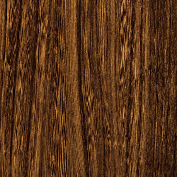 Elm - PCL Lite Asbury (D22N11685)