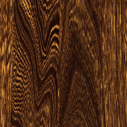 Elm - PCL Michael’s Cherry (D22R01217)
