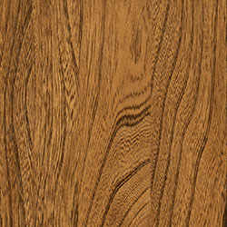 Elm - PCL Sealy (D22N11693)