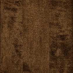 Hard Maple - PCL Earthtone (D22N11678)