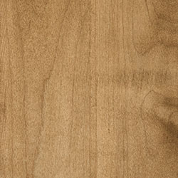 Hard Maple - PCL Harvest (D22N12826)
