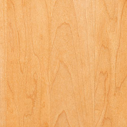 Hard Maple - PCL Honey (D22N13037)