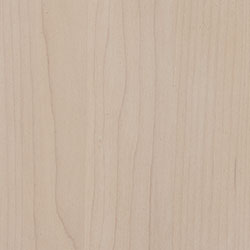Hard Maple - PCL Limed (D22CW00148)