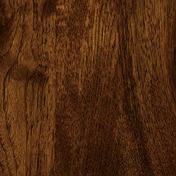 Hickory - PCL Asbury Brown (D22N11672)