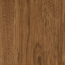 Hickory - PCL Clove (D22N12083)