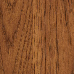 Hickory - PCL Golden Harvest (D22N11679)
