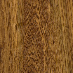 Hickory - PCL Hoosier Special (D22N11682)