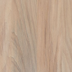 Hickory - PCL Limed (D22CW00148)