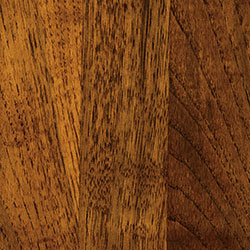 Hickory - PCL Michael’s Cherry (D22R01217)