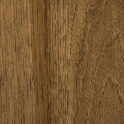 Hickory - PCL Sandstone (D22N08963)