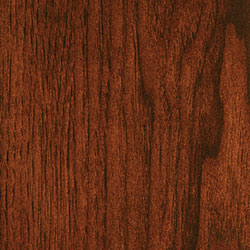 Hickory - PCL Scarlet (D22N11692)