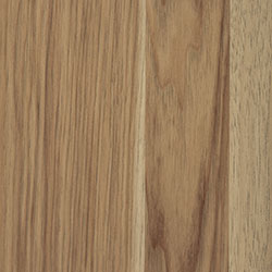 Hickory - PCL Seashell (D22N09096)