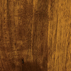 Hickory - PCL Vintage Antique (D22N11697)