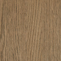 Oak - PCL American Antique (D22N11671)