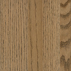 Oak - PCL Bel Air (D22N11673)