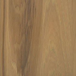 PCL Hickory - Sand (D22N10202)