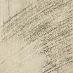 PCL Limelight (PCL 193) - Rough Sawn Wormy Maple