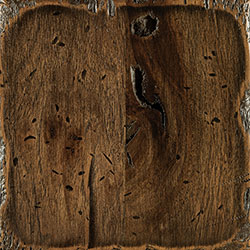 PCL Distressed Weathered Treebark (SP 166) 10-Sheen - Rustic Hickory