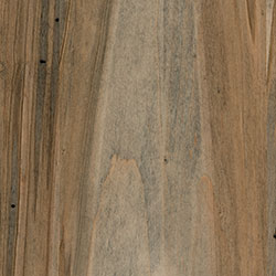 PCL Bel Air (FC 47823) - Wormy Maple