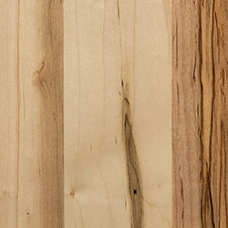 PCL Wormy Maple - Natural