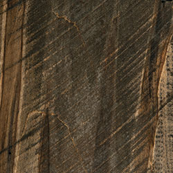 PCL Carbon (D22N11676) - Rough Sawn Wormy Maple