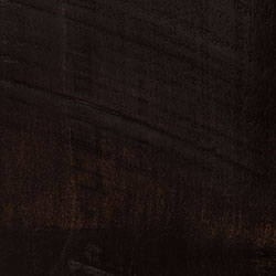 PCL Ebony (D22K00585) - Rough Sawn Wormy Maple