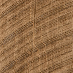 PCL Harvest (D22N12826) - Rough Sawn Wormy Maple