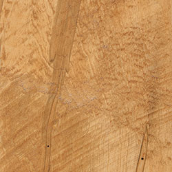 PCL Honey (D22N13037) - Rough Sawn Wormy Maple