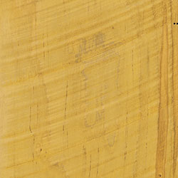PCL Lemon (D22Y00320) - Rough Sawn Wormy Maple