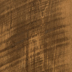 PCL Medium Walnut (D22N11687) - Rough Sawn Wormy Maple