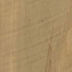 PCL Sand (D22N10202) - Rough Sawn Wormy Maple