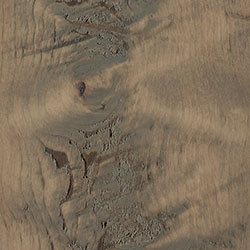 PCL Seashell (D22N09096) - Rough Sawn Wormy Maple