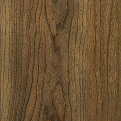 Sap Cherry - PCL Bel Air (D22N11673)