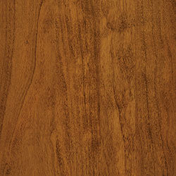 PCL Golden Pecan (D22N11680) - Sap Cherry
