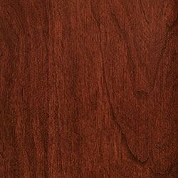 PCL Scarlet (D22N11692) - Sap Cherry