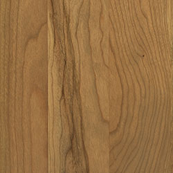 Sap Cherry - PCL Seashell (D22N09096)