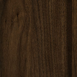 Walnut - PCL Carbon (D22N11676)