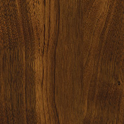 Walnut - PCL Golden Pecan (D22N11680)