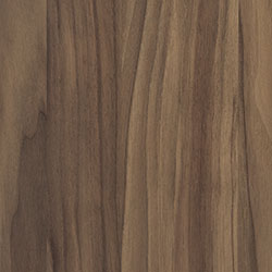 Walnut - PCL Seashell (D22N09096)