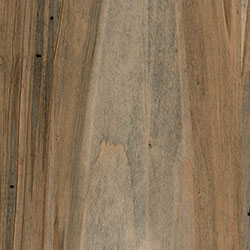 Wormy Maple - PCL Bel Air (D22N11673)