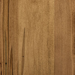 Wormy Maple - PCL Harvest (D22N12826)