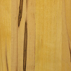 Wormy Maple - PCL Lemon (D22Y00320)