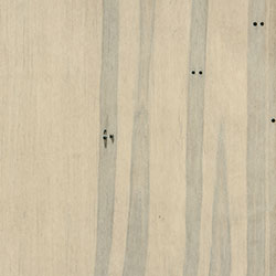Wormy Maple - PCL Limelight (PCL 193)