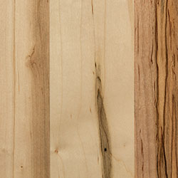 Wormy Maple - PCL Natural